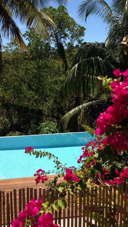 Confortable T1 Le Gosier, Wi-Fi, Piscine Dans Gite ル・ゴジエ エクステリア 写真